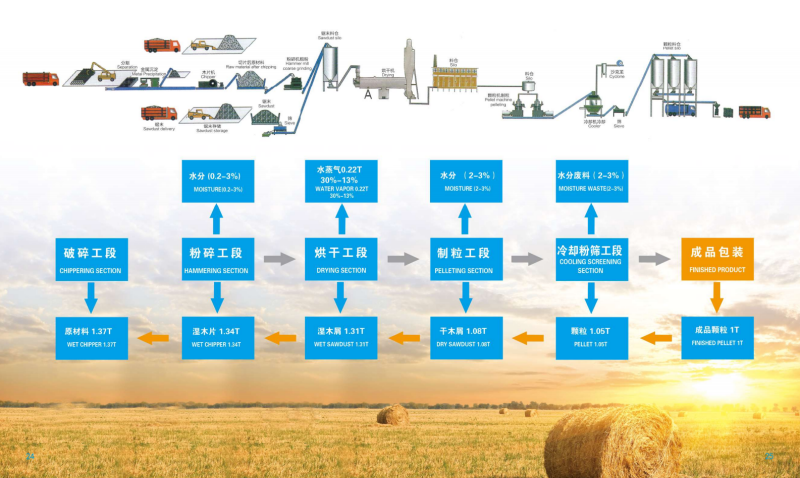 狗子28宣传册_13 - 副本.png